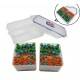 Microwave Dishwasher Safe Airtight Bento Box Lunch Box BPA Free Size L