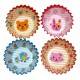 Japanese Bento Accessories Microwavable Food Cup 32pcs
