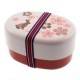 Japanese Bento Box 2 tier Lunch Box with Strap Gorgeous Rabbit