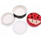 Japanese Bento Box 2 tier Lunch Box with Strap Lady Bug 