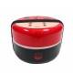 Japanese Bento Box 2 tier Lunch Box with Strap Lady Bug 