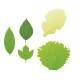 Microwavable Reusable Bento Baran Silicone Lettuce Leaf Sheet 