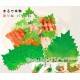 Microwavable Silicone Perilla Leaf for Bento Decoration