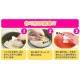 Bento Rice Mold Onigiri Shaper 4 Vehicles for Boy