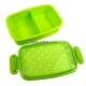 Japanese Microwavable 1 Tier Bento Box Lunch Box Polka Dot Green 