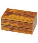 Hakoya Lacquer Bento Lunch Box 2 tier Imitation Wood Design