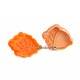 Bento Pastry Cookie Cutter and Stamp set of 4 Leaves