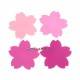 Silicone Japanese Bento Baran Sheet Reusable Flower