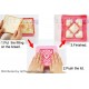 Japanese Bento Lunch Sandwich Cutter Bite Size Heart