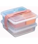 Made in Japan Microwavable Picnic Bento Box Lunch Box Set 2 tiers