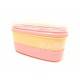Authentic Japanese Bento Box Lunch Box Set of 2 Bonjour