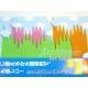 Silicone Japanese Bento Food Separator Sheet Reusable