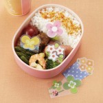 BentoUSA Bento Supplies New Arrival 2013